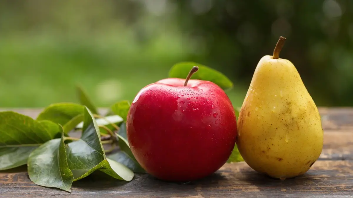 Jabłko i gruszka na drewnianym blacie w ogrodzie