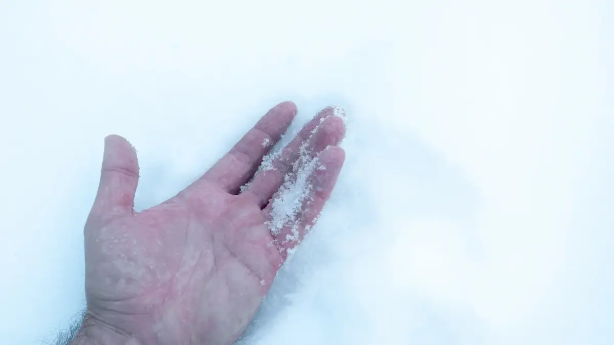 Ręka na śniegu
