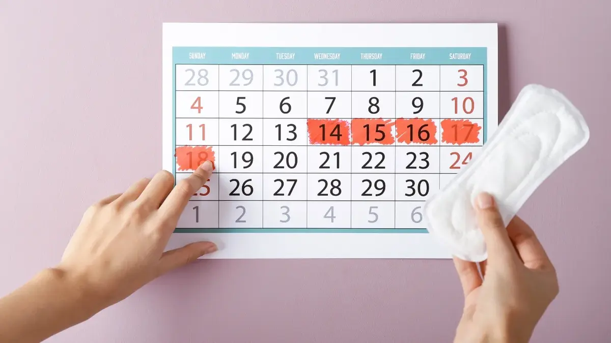 Kalendarz z zaznaczonymi dniami cykl, obok ręka trzymająca podpaskę