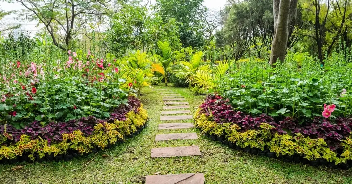 Ogród z różnymi roślinami i kamienną ścieżką