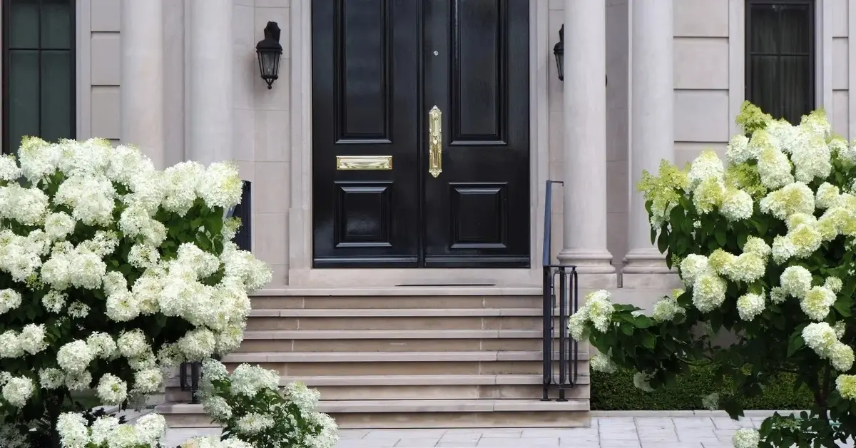 Hortensja przed domem biała