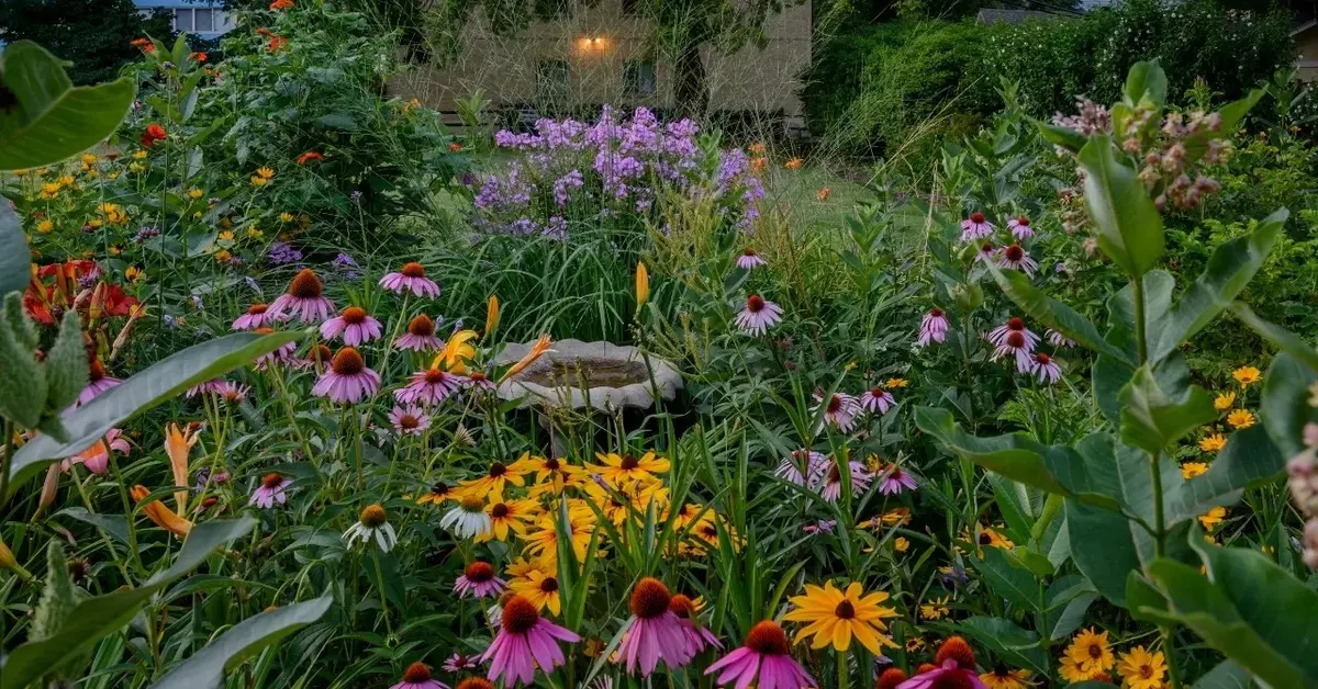Główne zdjęcie - Kwiaty ogrodowe wieloletnie zimujące w gruncie: przegląd pięknych i trwałych roślin