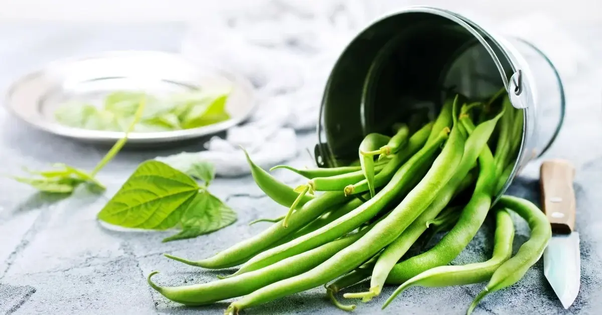 Fasolka szparagowa wysypana z metalowego małego wiaderka