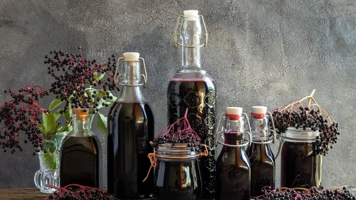 Syrop z czarnego bzu w butelkach, obok owoce czarnego bzu