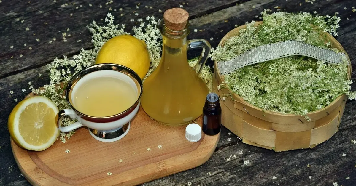 Syrop z czarnego bzu w butelce, obok kwaity czarnego bzu , cytryna i filiżanka z nalanym syropem
