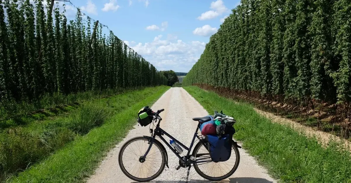 Sakwy rowerowe na rowerze