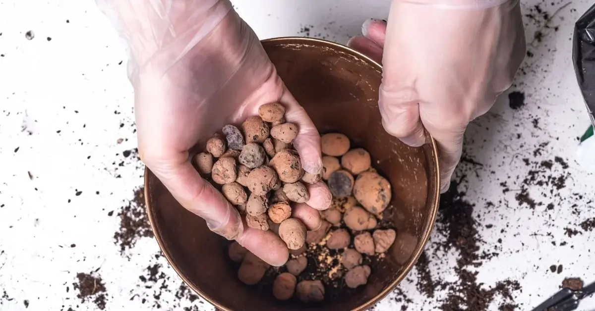 Keramzyt w doniczce i na ręce ogrodnika