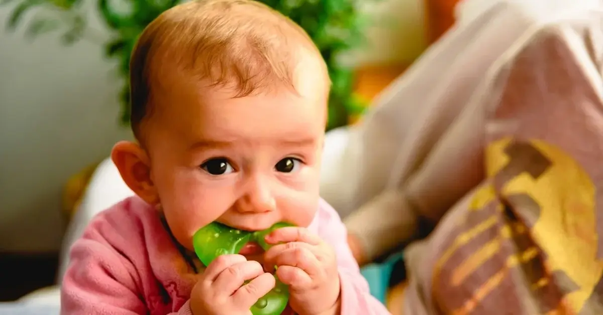 Dziecko gryzące gryzak