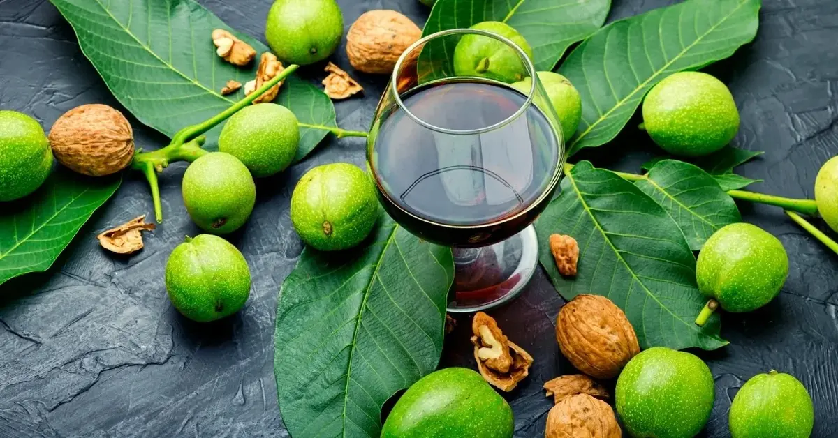 Nalewka z orzecha włoskiego w kieliszku, obok orzechy włoskie