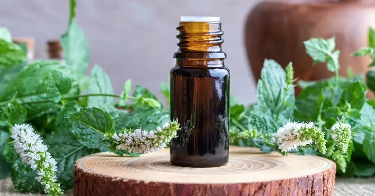 Olejek miętowy w buteleczce, obok świeża mięta