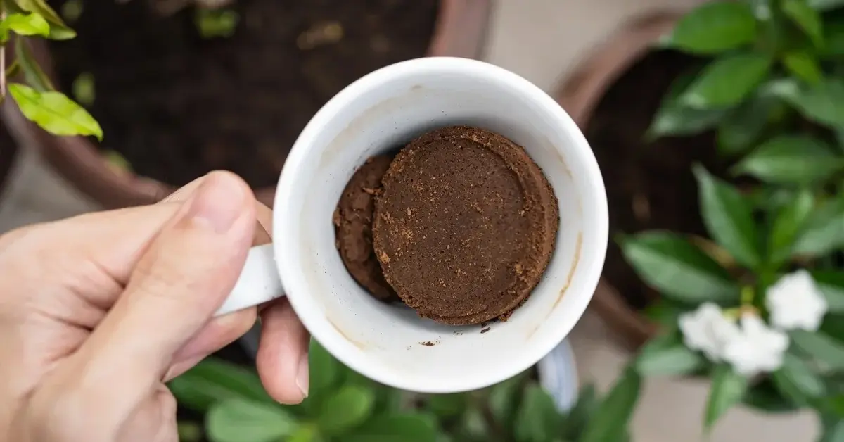 Fusy z kawy w kubku na tle roślin