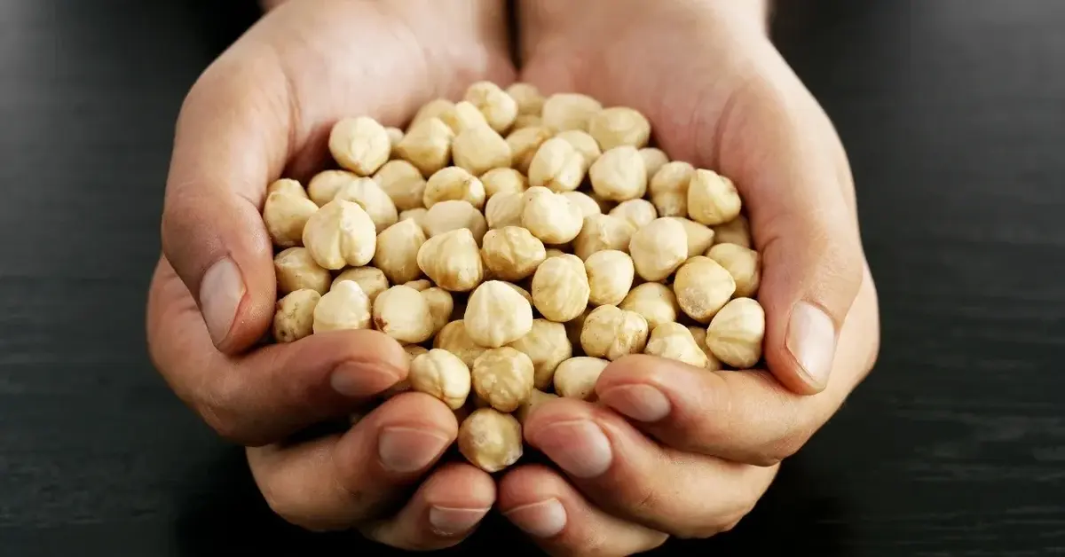 Orzechy laskowe bez łupinek trzymane w dłoniach