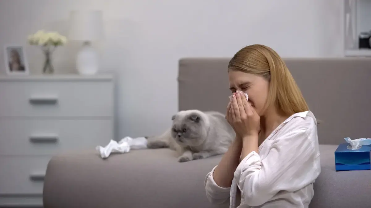 Kobieta wycierająca nos chusteczką, obok na kanapie kot