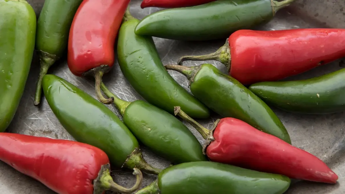 Zielone i czerwone papryczki chilli