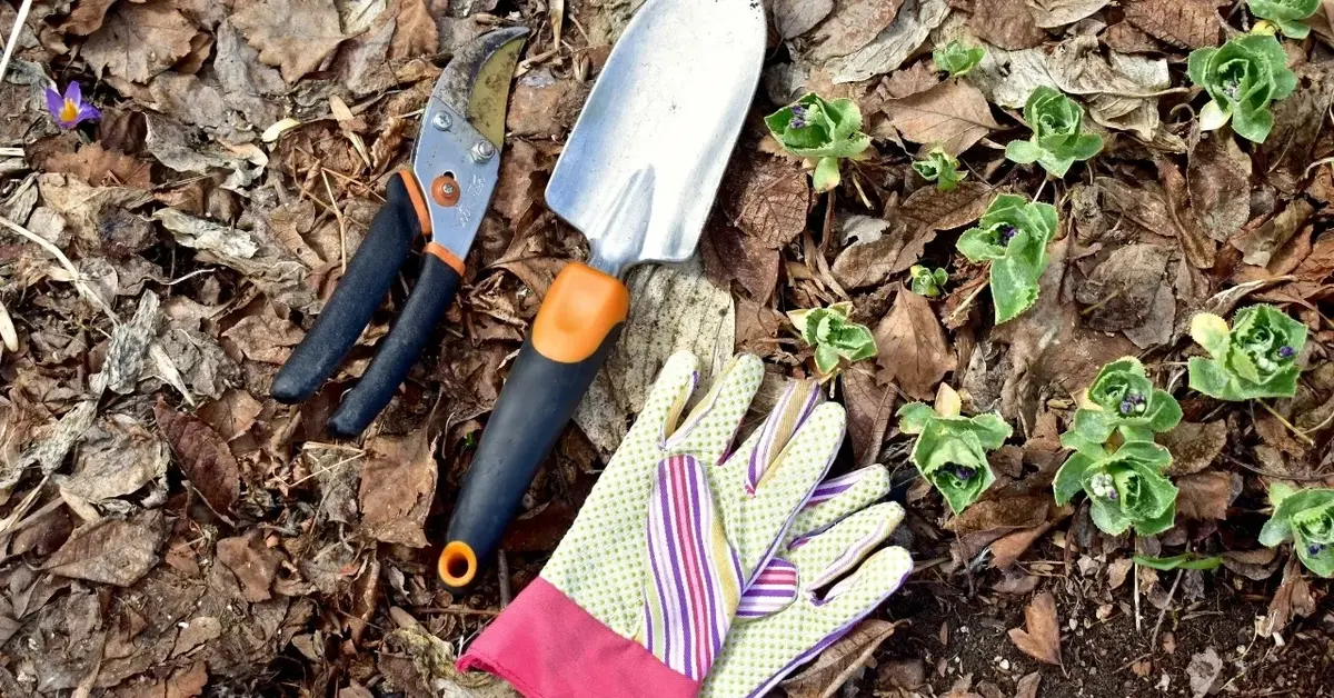 rękawiczki i narzędzia ogrodowe na ziemi 