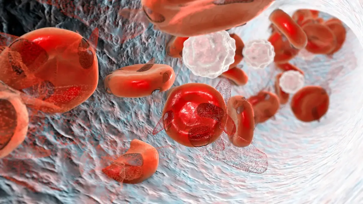 Grafika przedstawiająca krwinki