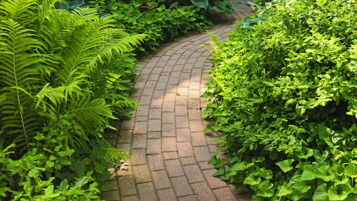 Ścieżka w ogrodzie z kostki brukowej 