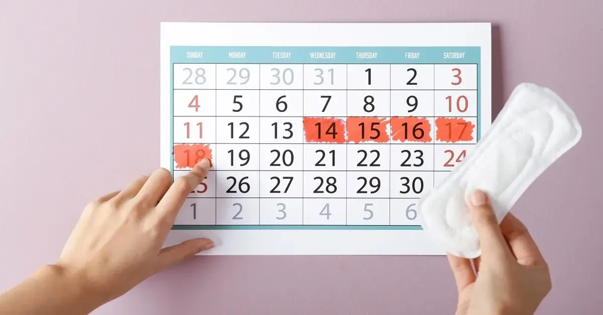 Kalendarz z zaznaczonymi dniami cykl, obok ręka trzymająca podpaskę