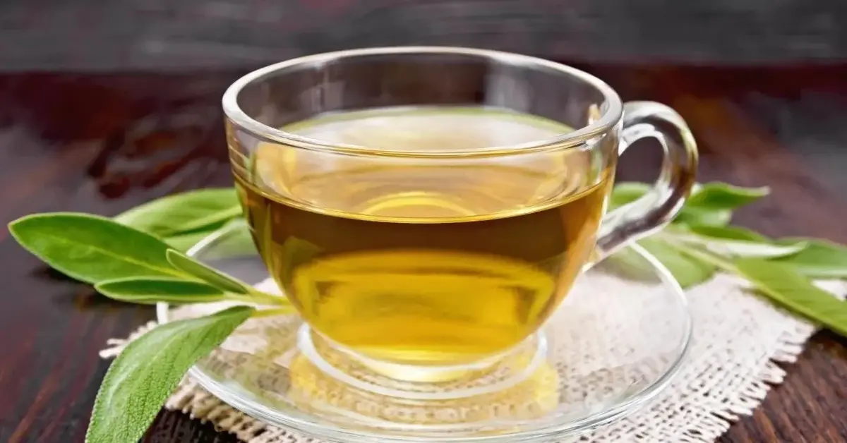 Główne zdjęcie - 3 nieznane właściwości zielonej herbaty. Pijesz ją regularnie?