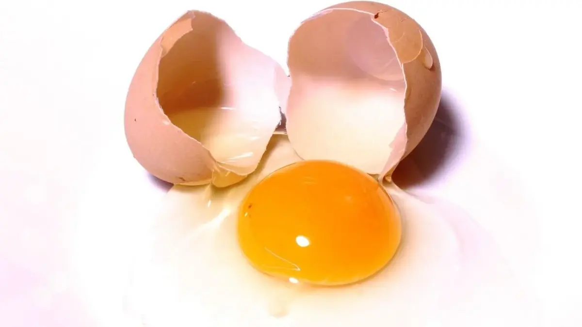 Jajko przeznaczone do ciasta drożdżowego.